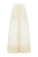 Set of Organza top with Sheer pants