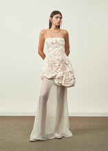 Set of Organza top with Sheer Skirt