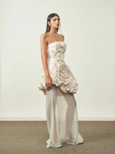 Set of Organza top with Sheer Skirt