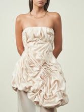 Set of Organza top with Sheer Skirt