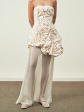 Set of Organza top with Sheer Skirt