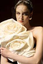 Rosana Gown